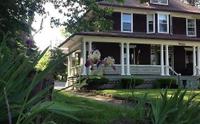 Lion'S Head B&B